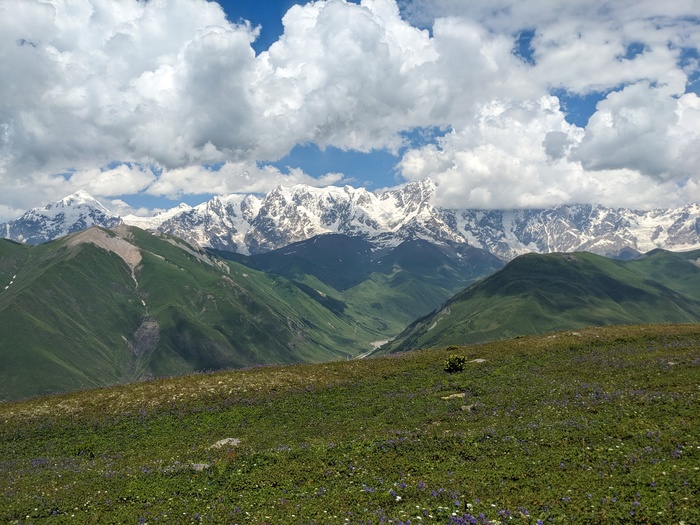      .  ,   .    .      3 (   330 )