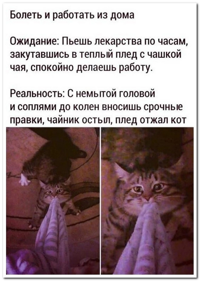 170180993928353023.jpg