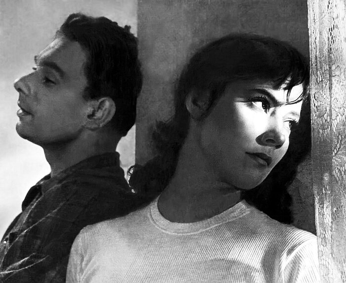 Кадр из фильма «Летят журавли», 1956 года