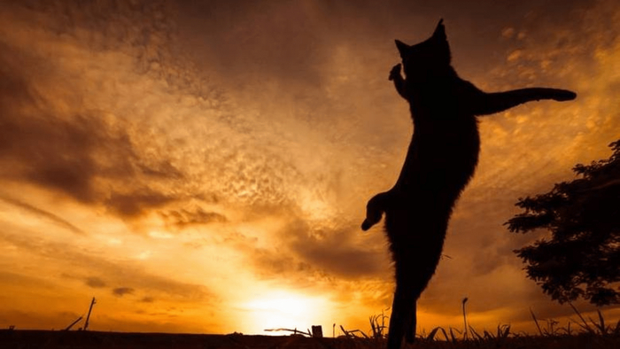 Work-life balance существует