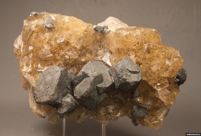 ��������� ��������, ������� �� ������� ������������ �� ������������ ������, �� ��������. � ���������� �������� �� ����� ����� ����� (�� �������� ����) �������� ��������� ���������. ���� - ������, 2023�. ����������: ������� �.�.