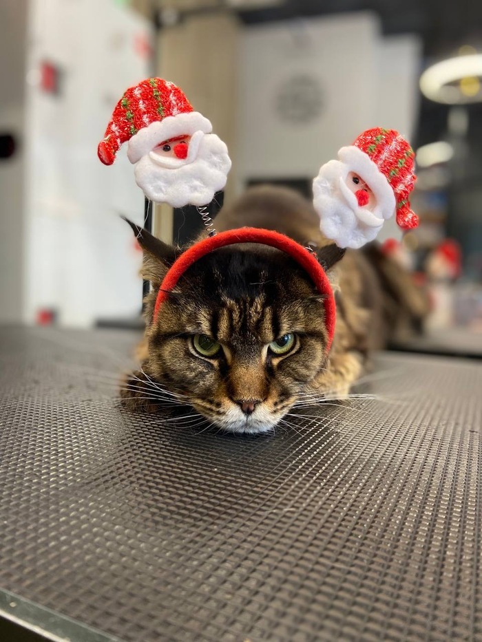 ����������� ���� ��� � �����