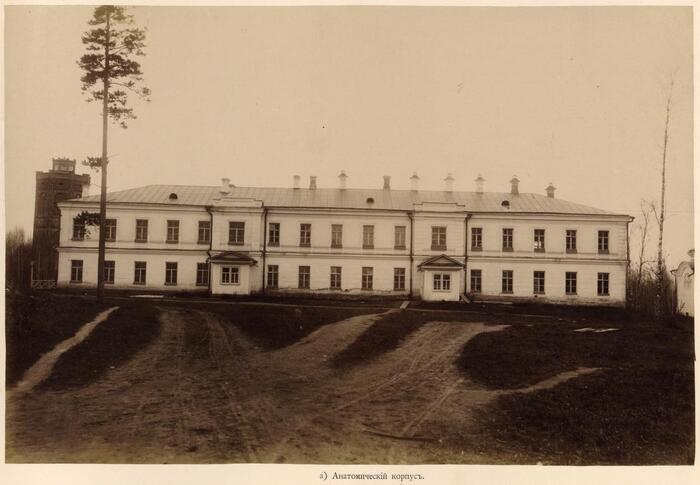 Анатомический корпус.