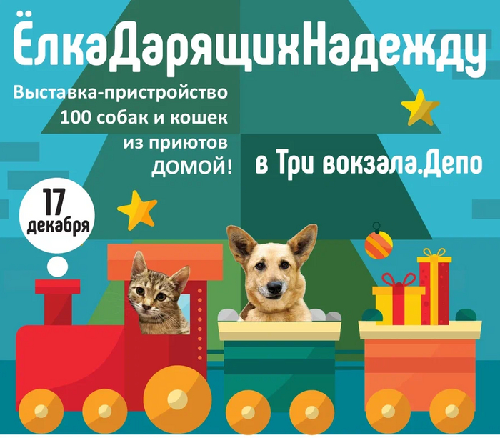 ОСТАНОВИСЬ... | Пикабу