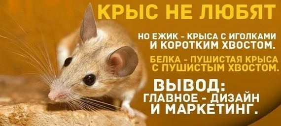 ��������� �������� ����