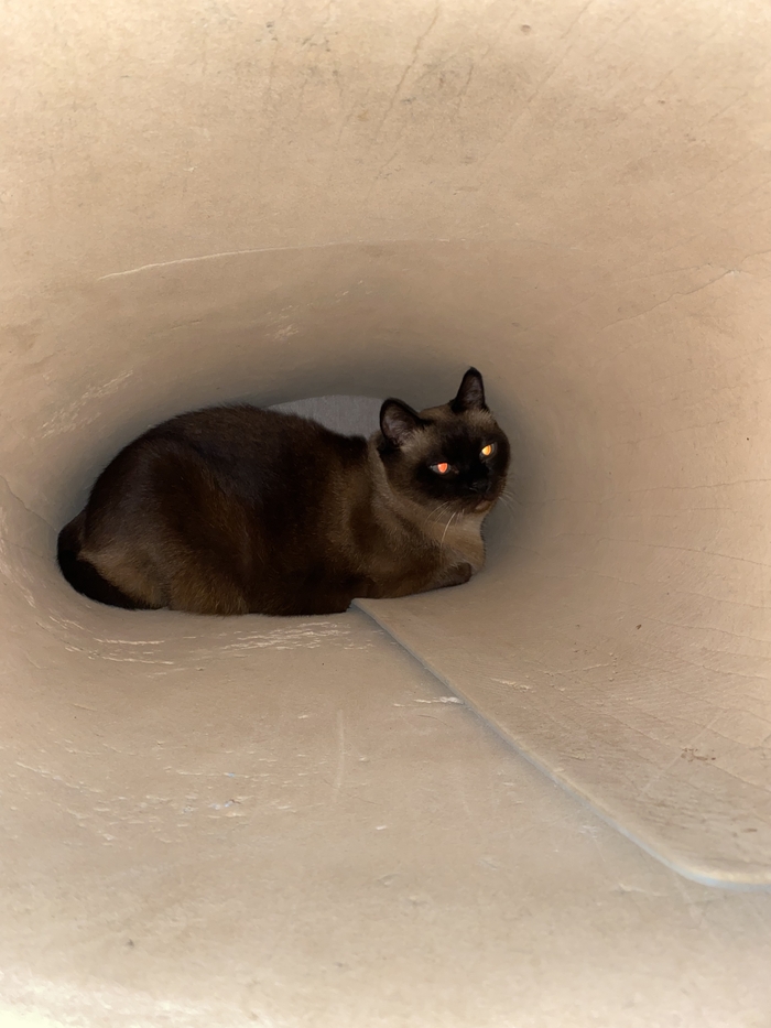 ����� �� �������