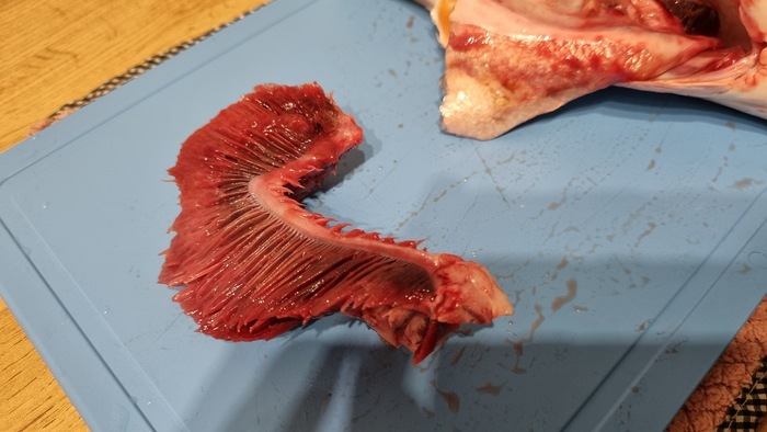 Вырезали с одной стороны, с другой будет точно так же, только зеркально.