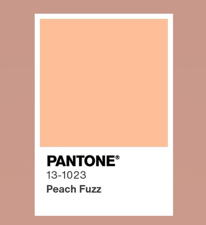   Pantone   2024  Pantone, 