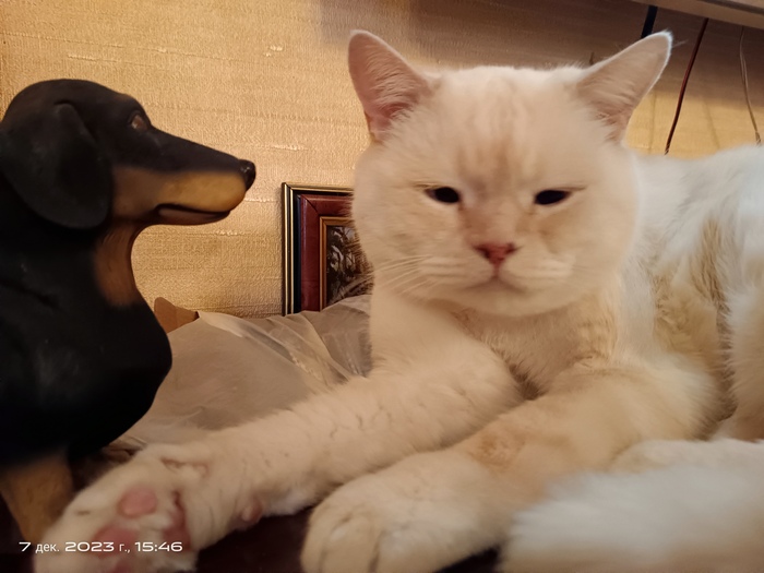 "Ну и пофиг"