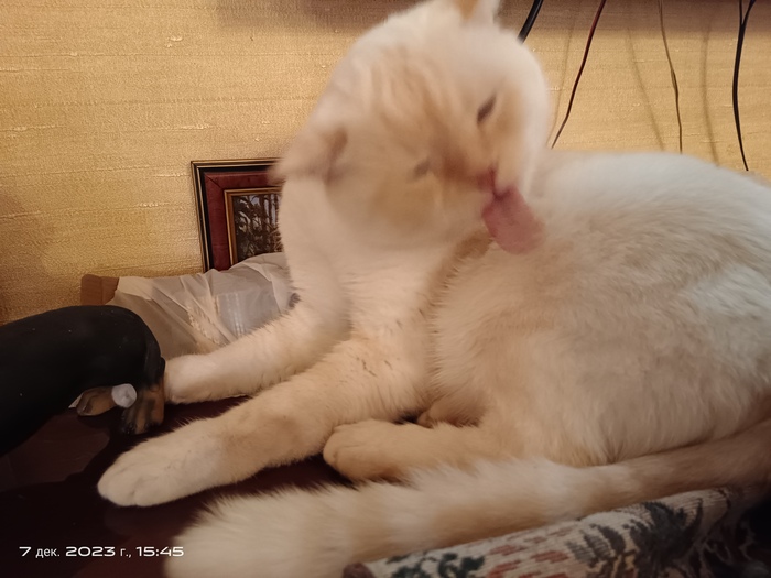 "Возраст чистоте не помеха"