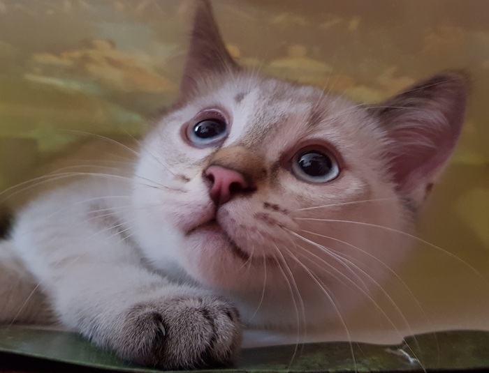 ��� ����� ��� ����� ������, ������� � ������ - ������ �� ���� ����� �����.