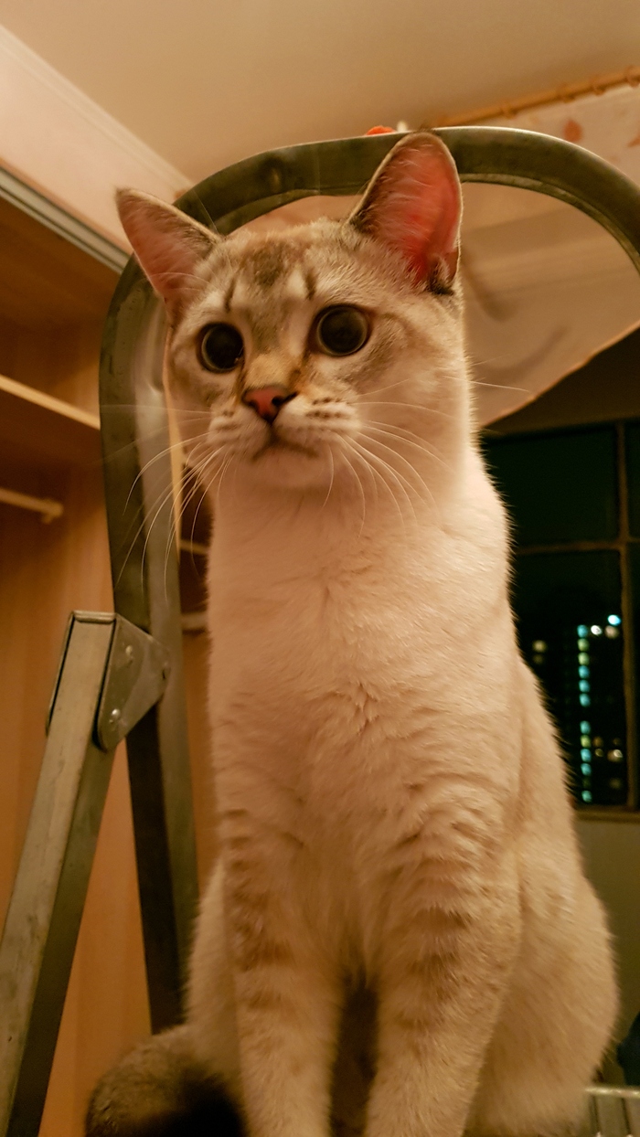 ������ ������� ����? � ���� �����, �� ���� ����������������.