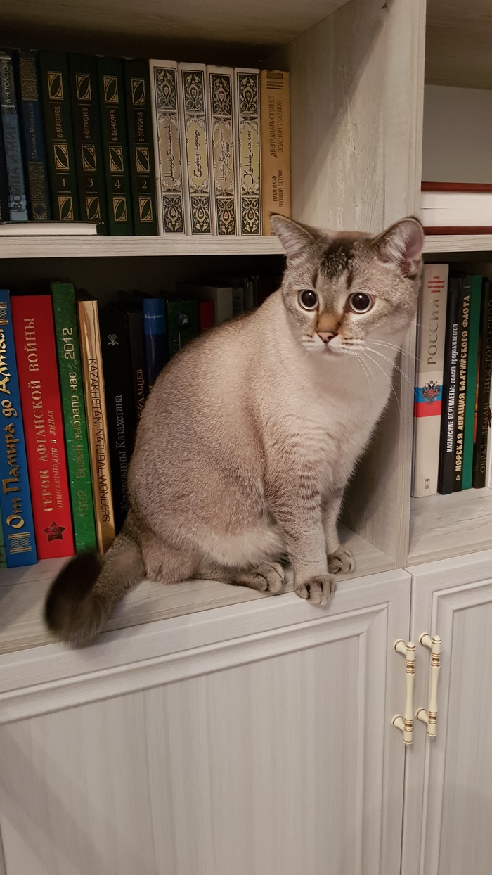 ����� � ����� ��������, � ����� � ����� ��������.