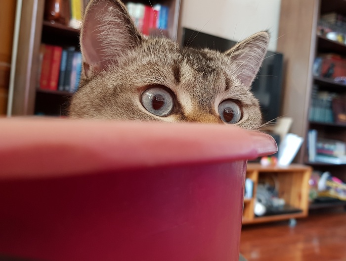 ������ � ����.