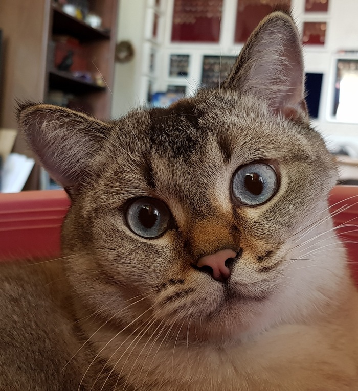 ����������� ������ � ���� �� ����, ���, �� �����.