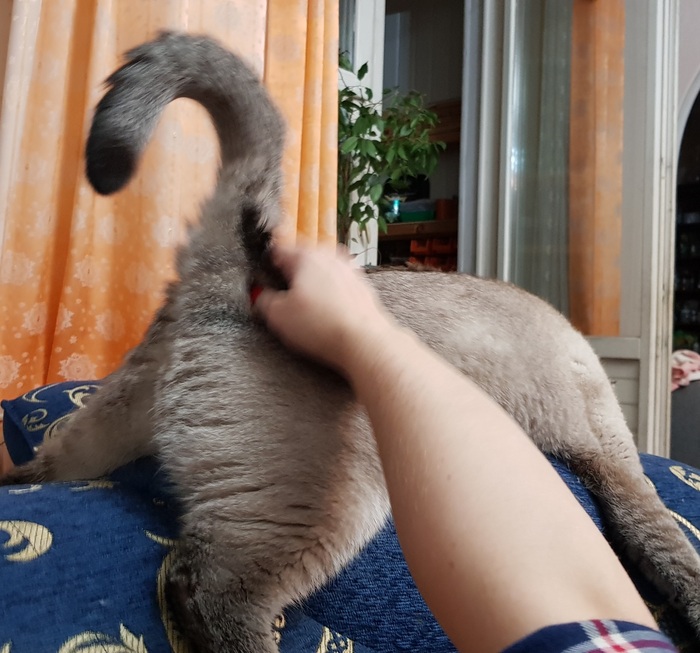 ������ ��������� �������.