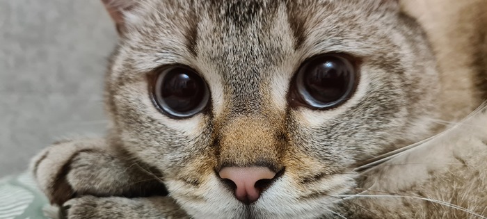 ������� ����� � ����.