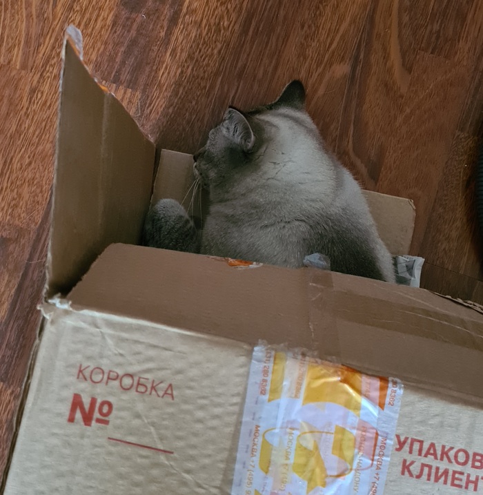 ����� ������������ ������� ��� �������� ����� ��������.