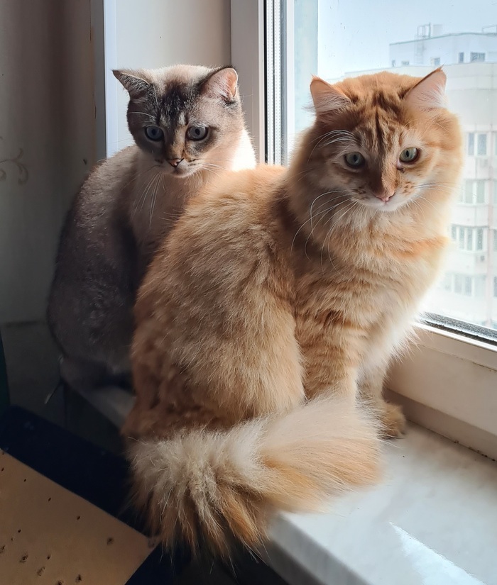 ��� ���� ������� ������� - � ��������� ������ � ����.