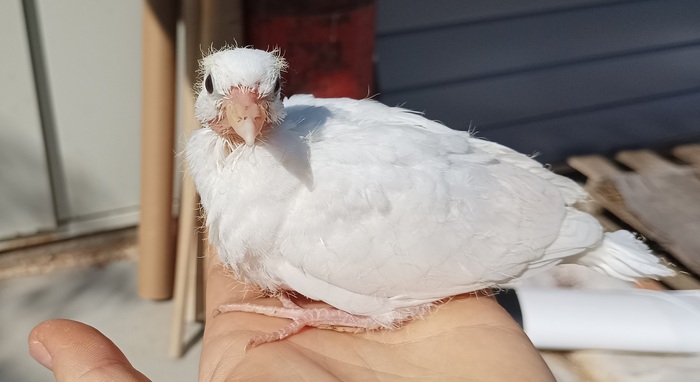 ������� �� ������.