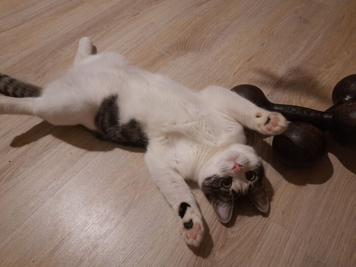 ����� ����������