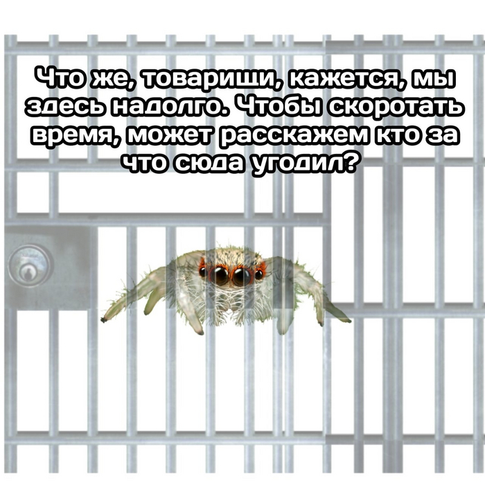    , , , , ,   
