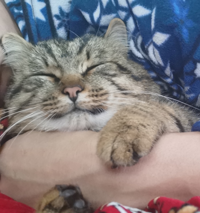 � �������� ����