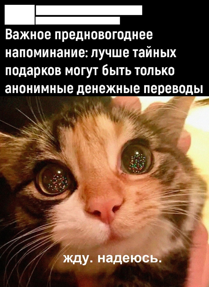 ������ �����