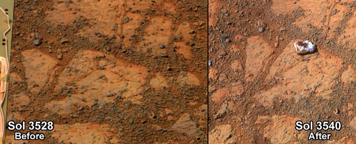 Возможный гриб на Марсе. Обратите внимание на солы