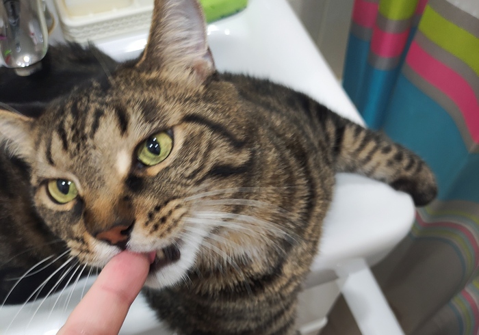 Если смотрели ДМБ то есть способ интересно "отнять" палец.