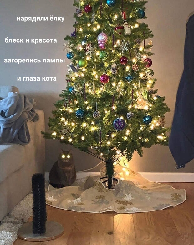Классная когтеточка | Пикабу
