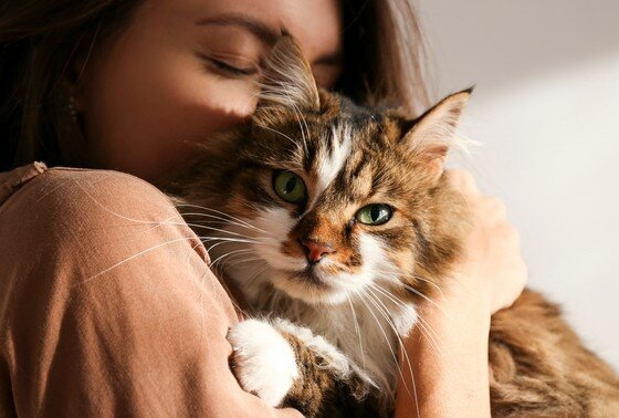 По-моему, это просто чушь СОБАЧЬЯ!:)))