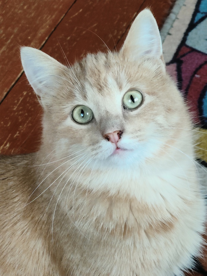          , , ,  ,  , ,   , ,  