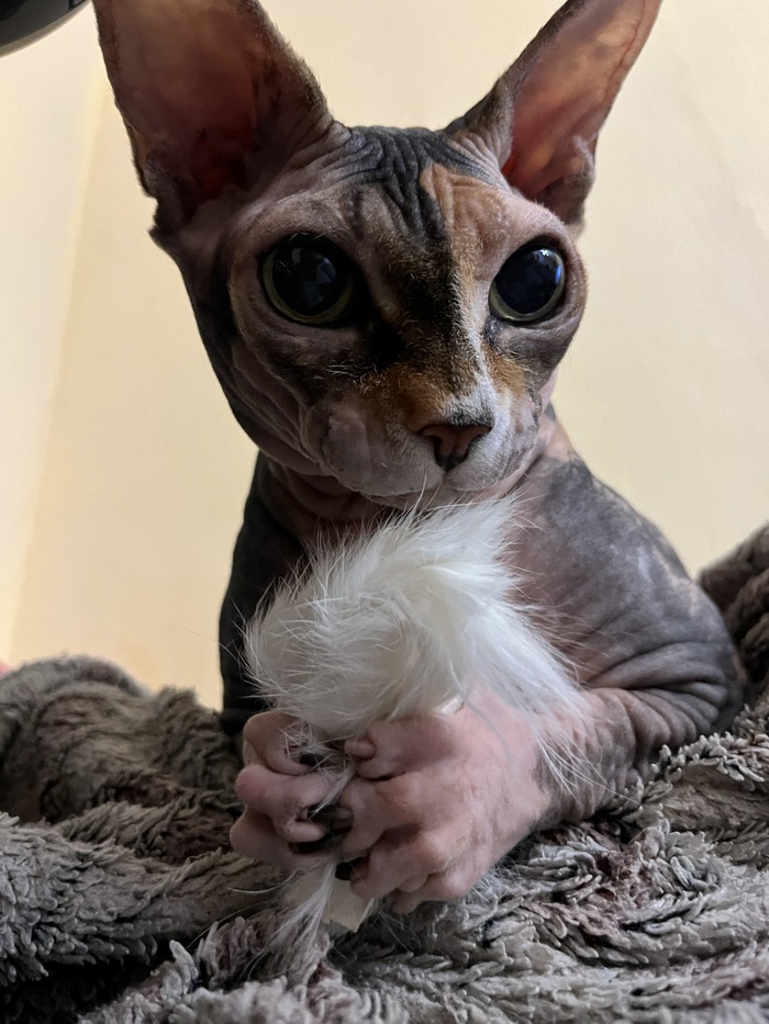 вгрызлась и не отпускает