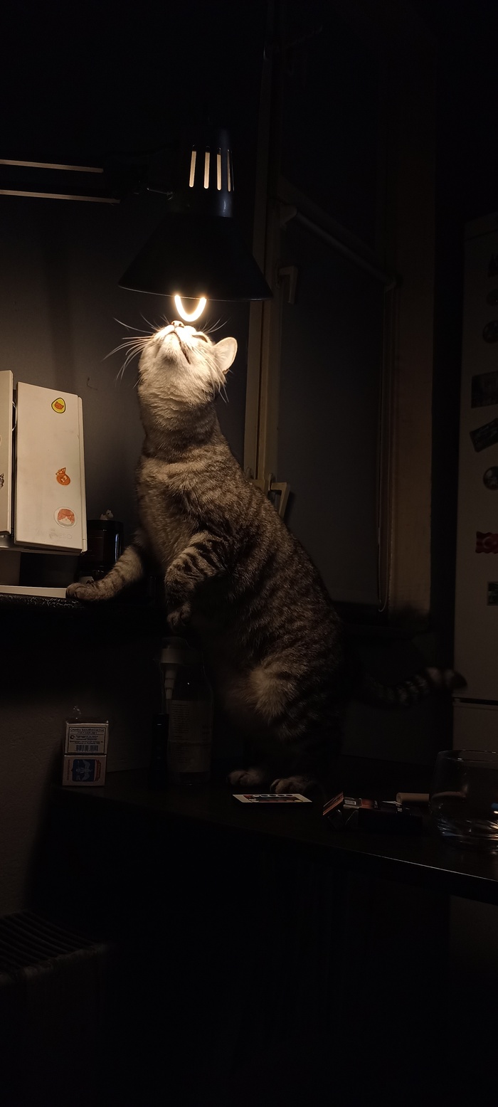 ��� ���������:)