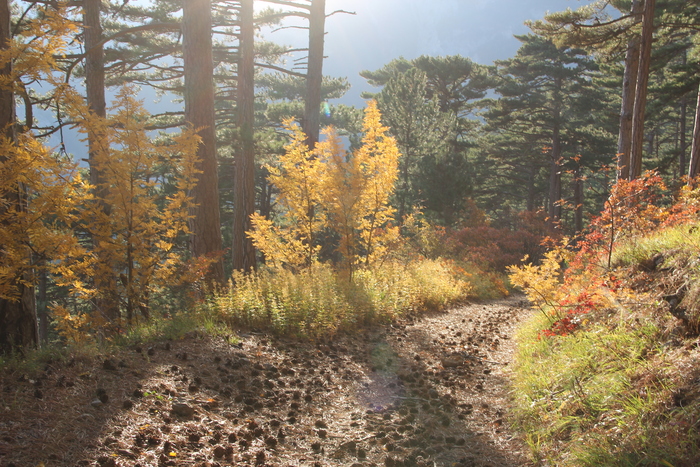 ������� ����� � ������ ����. ����� ������.