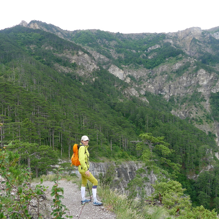 ����� �� ���������� �����