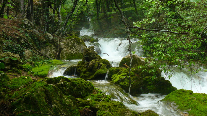 �����-��� ��� ������� - ���� �� ����� ����������� ���������� �����