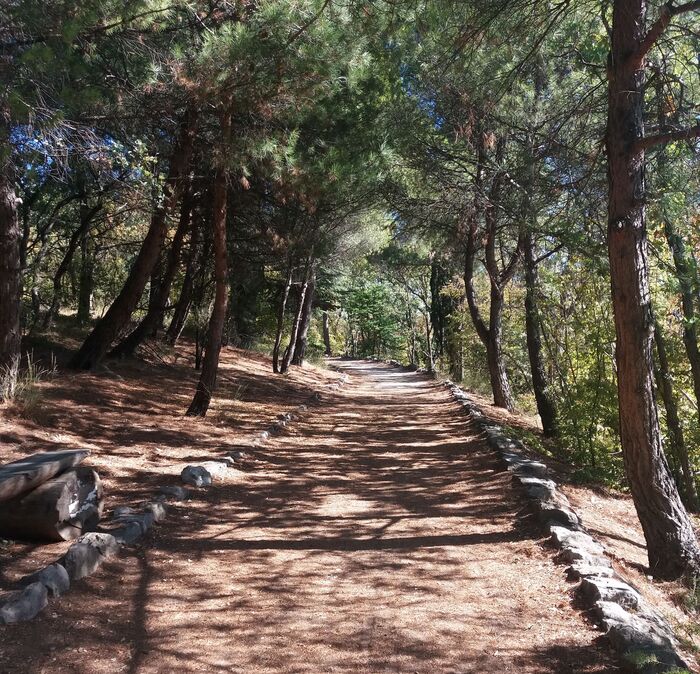 ������ ����� � ������