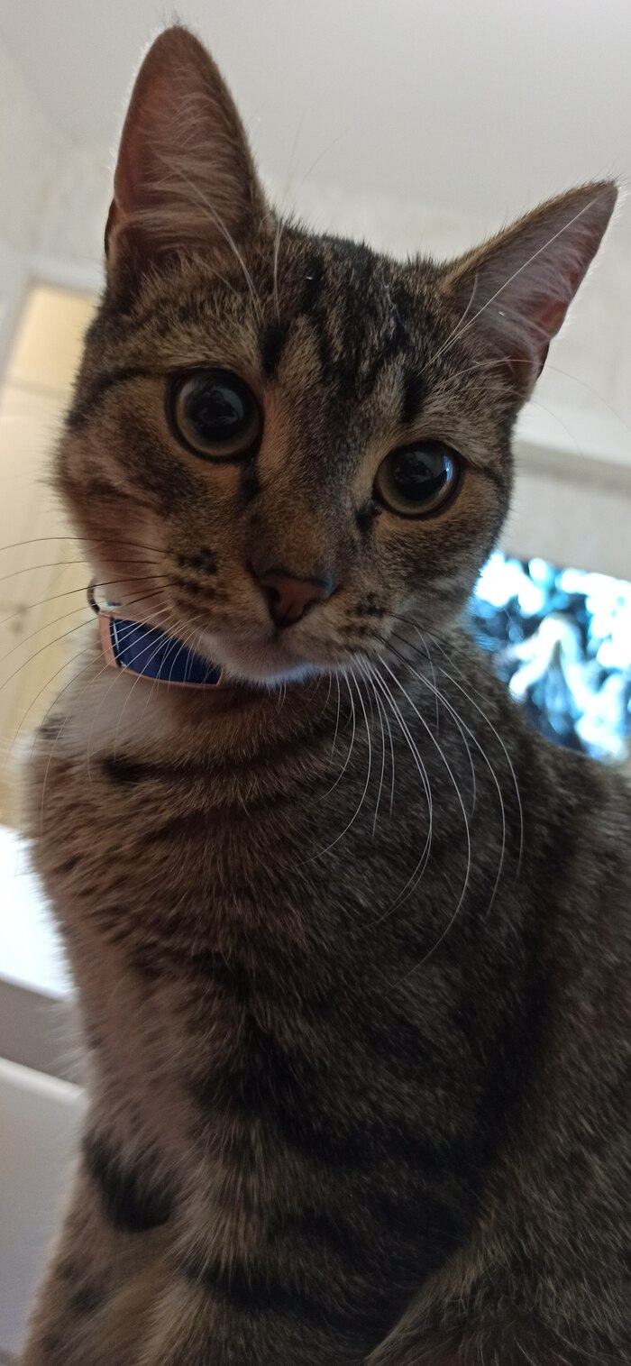 ���� ��������