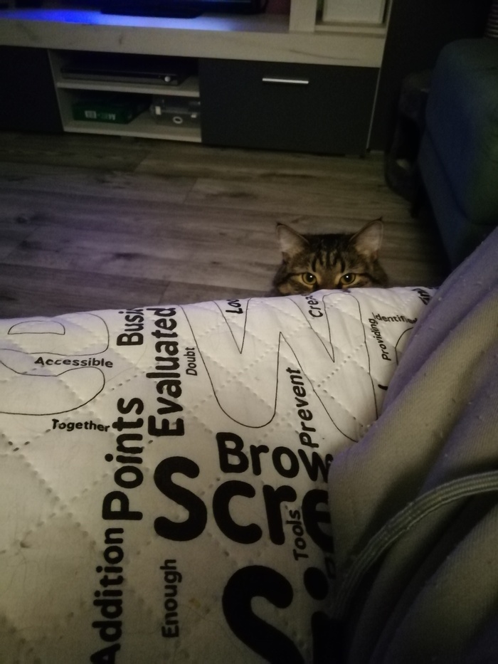 ,   ? , ,  , , 