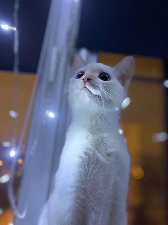    , ,  ,  ,  