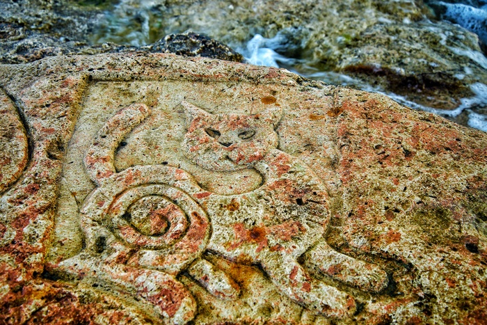 ������, ���� ��� ���