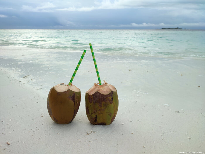 �� ���� � ������. ��� ���������� ����