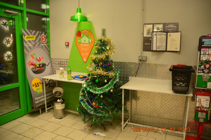 Ёлка местной 5ки