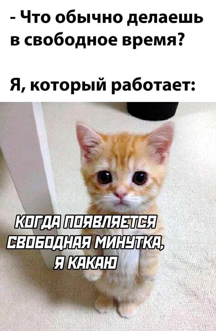    ,  , ,   , 