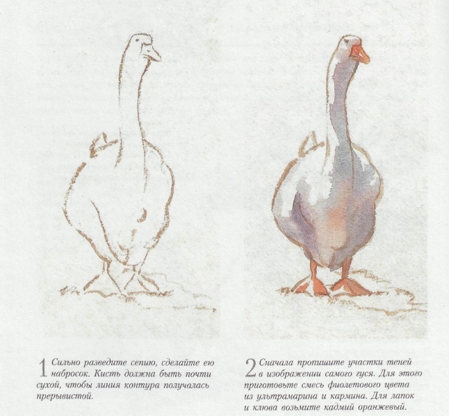 Самоучитель по акварели | Пикабу