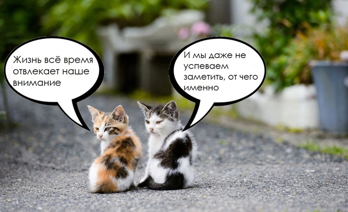 ��� ����� ������ ������ ���