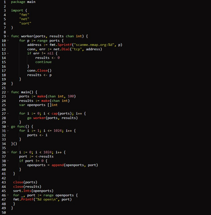      /tcp-scanner-final/main.go