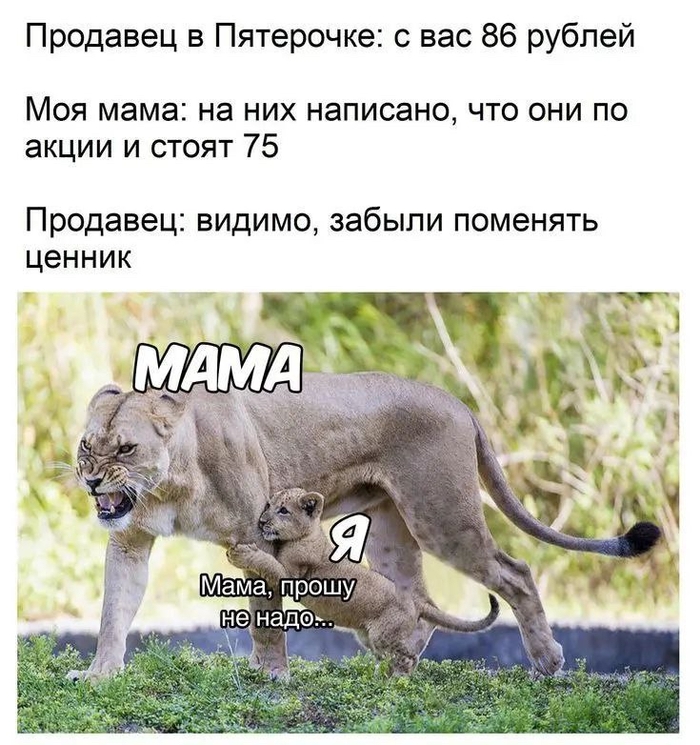 ��� ����� � ������